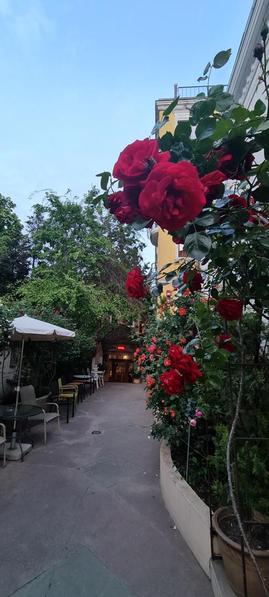 Casa Michelangelo Hotell Bukarest Exteriör bild